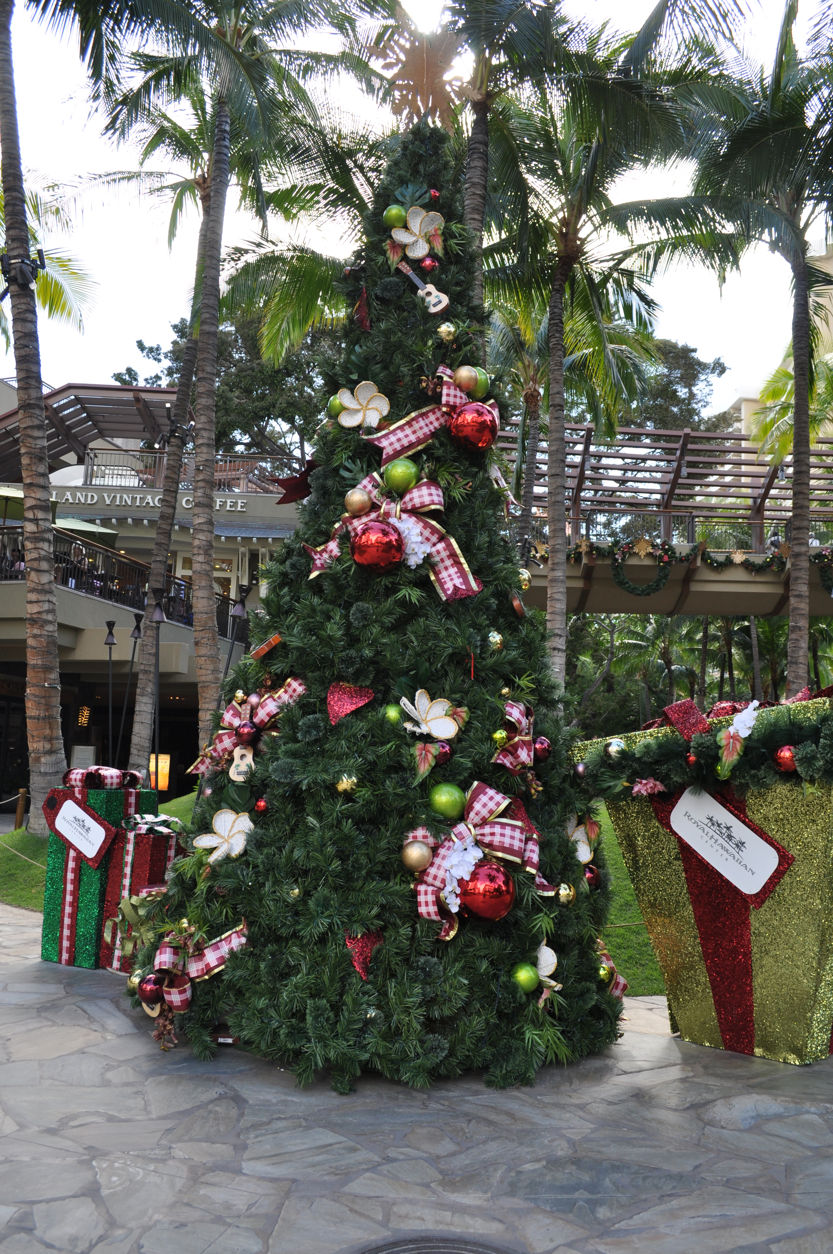 waikiki real estate and christmas tree in waikiki